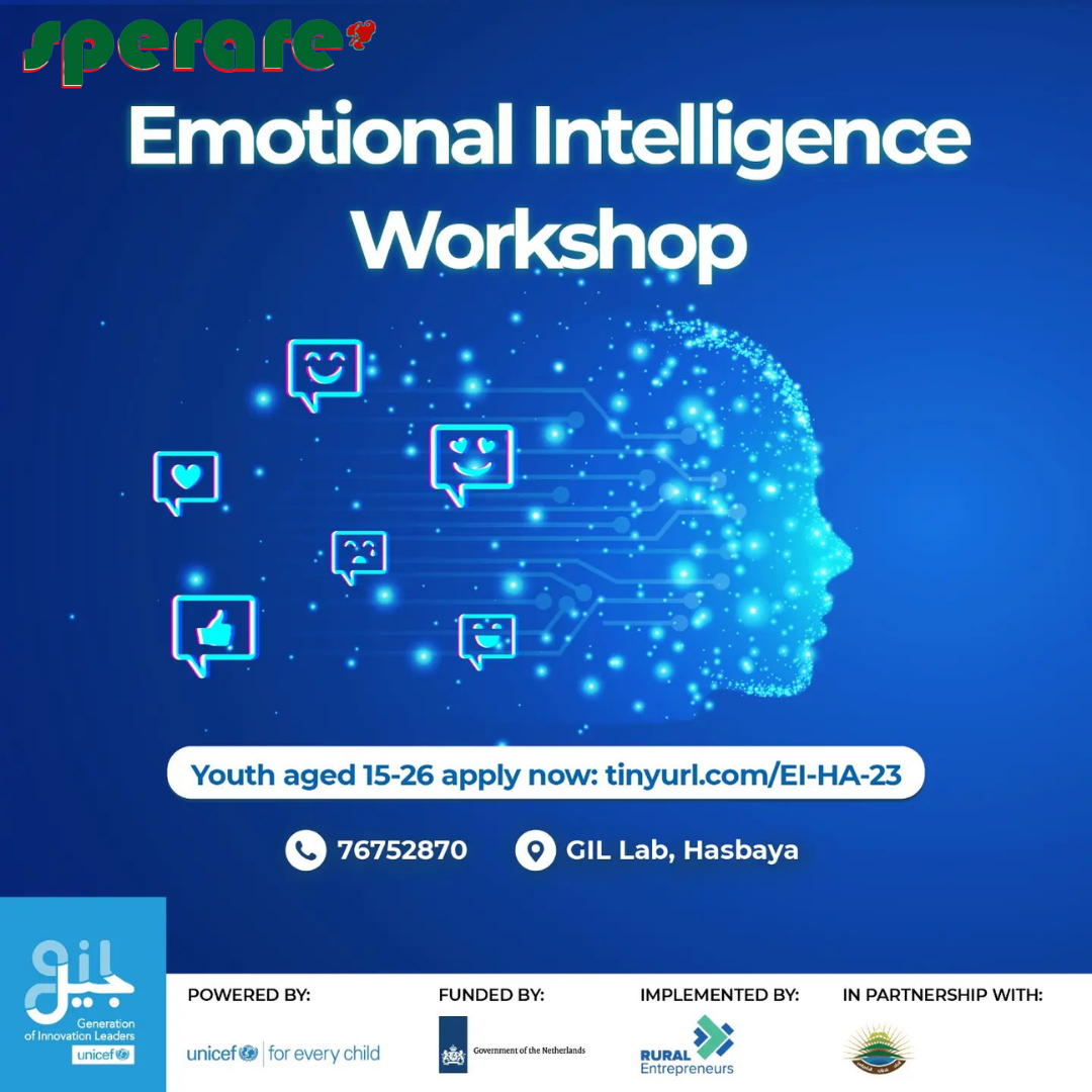 Emotional Intelligence Workshop